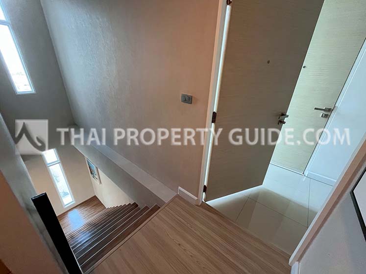 Condominium in Sukhumvit 